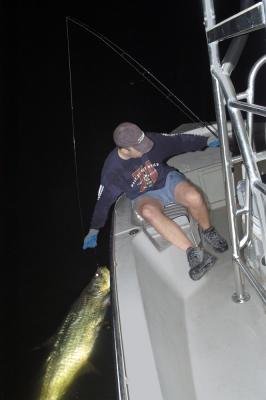 mike-landing-50lb-tarpon-05-29-04.jpg