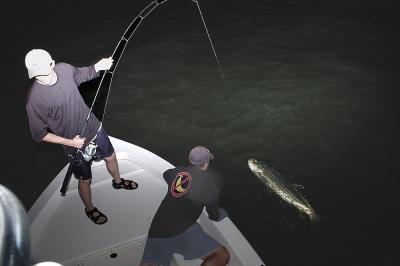 harold landing 50lb tarpon 05-30-04.jpg