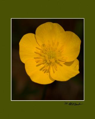 DSC_3998.jpg
