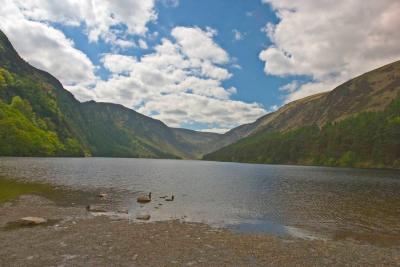 CRW_4951.jpg