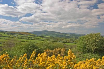 CRW_4954.jpg