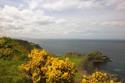 CRW_5170.jpg