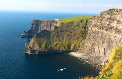 CRW_5986 Moher with Gull.jpg