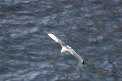 IMG_5225.jpg