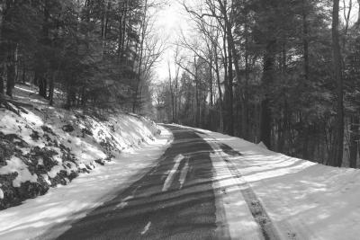 IMG_0642_2.jpg