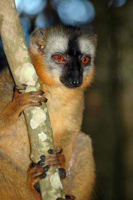 DSC_2755-small.jpg