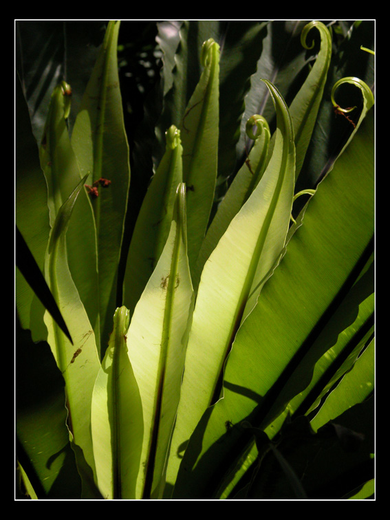 Light and Spirals