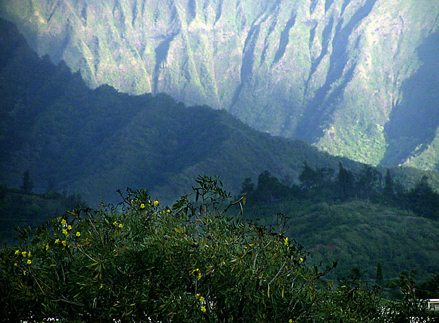 P5060166a.jpg
