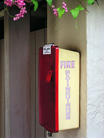P5080019a.jpg