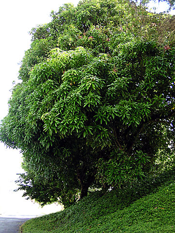 P5080033.jpg