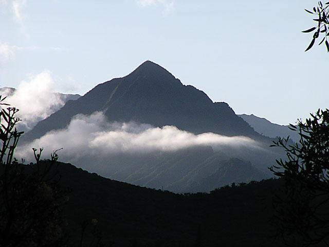 P5080046.jpg