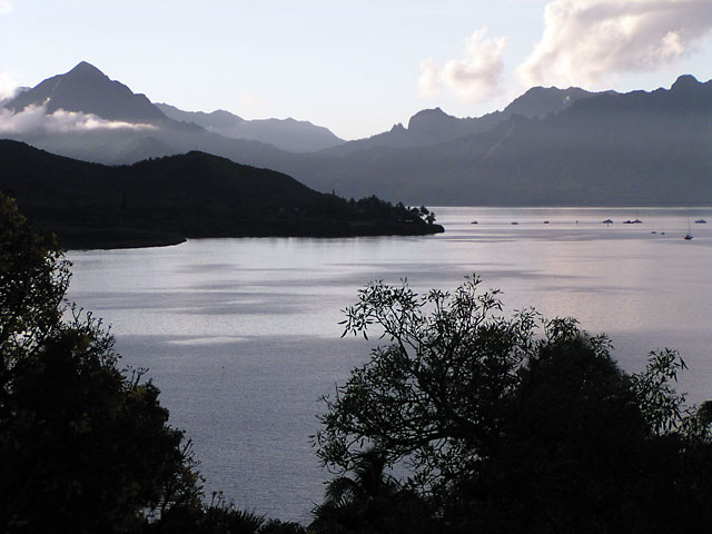 P5080060.jpg