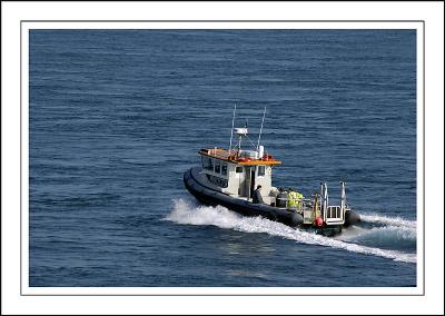 The Protector, Portland Bill, Dorset