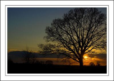 Foldhill Lane sunset, Martock