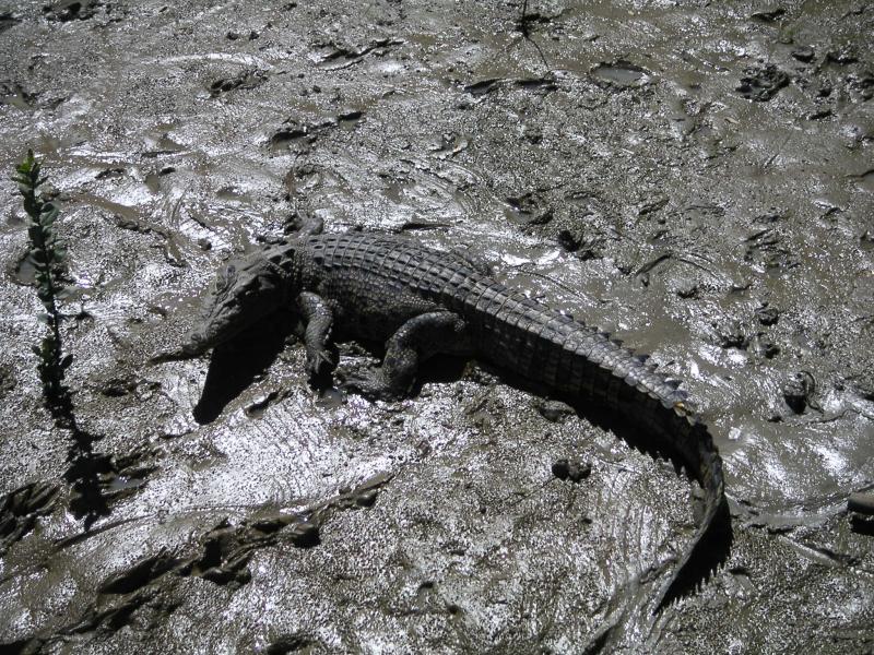 PICT0633.JPG