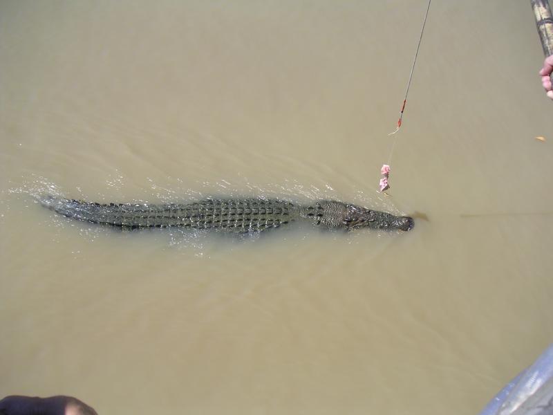 PICT0635.JPG