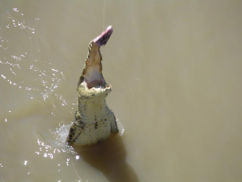 ...the water vertically