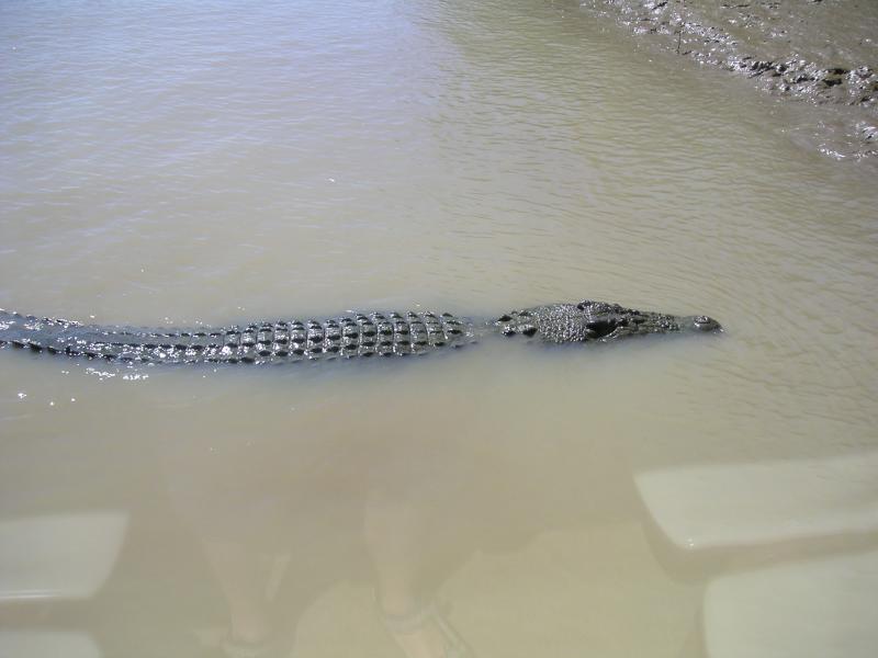 PICT0642.JPG