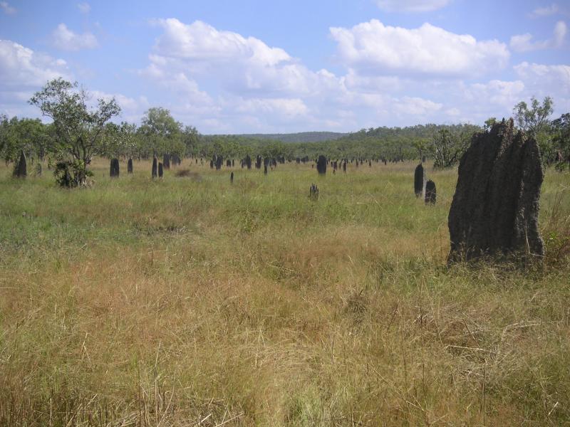 Lichfield NP & Darwin (NT)