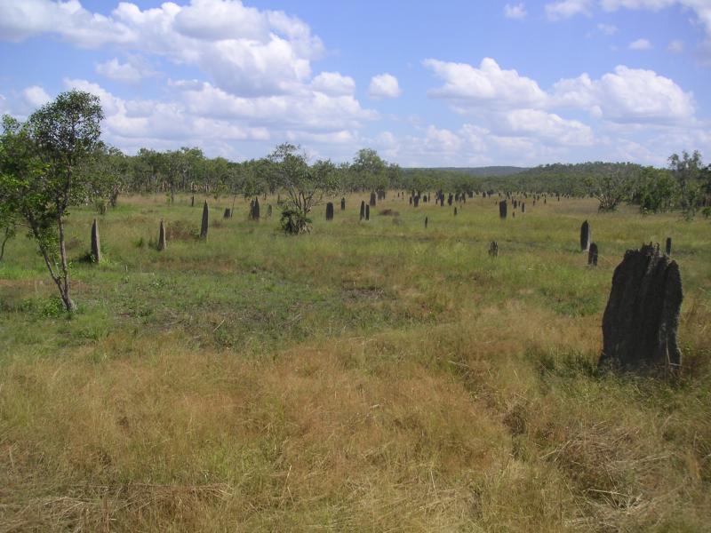 Like a graveyard