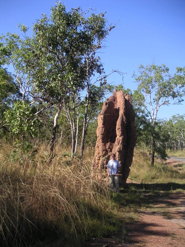 These are big mounds