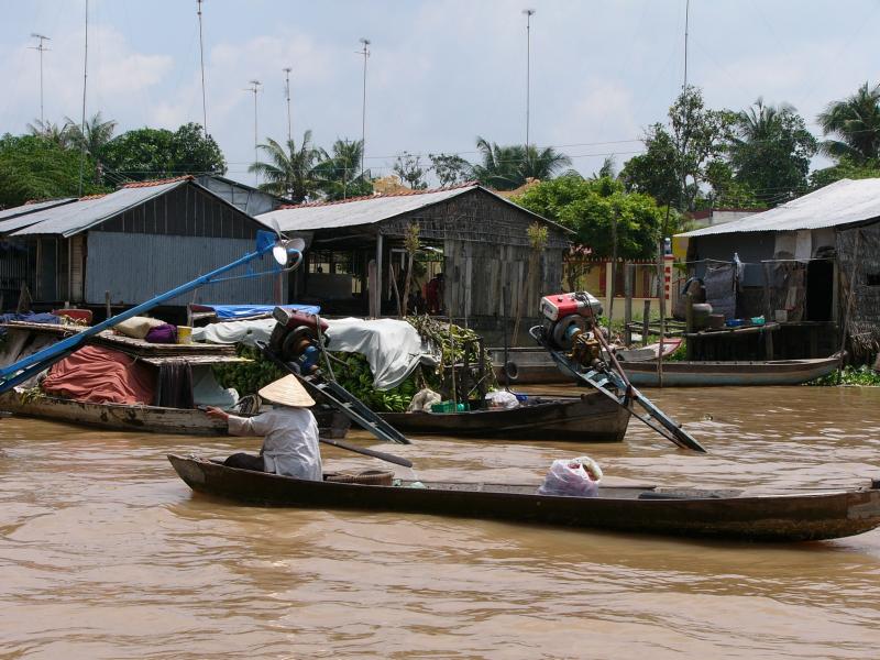 Mekong Delta