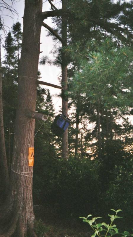 Food hung away from bears