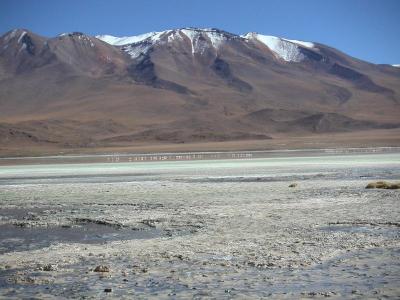 Laguna Hedionda