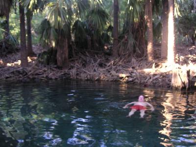 Mataranka Thermal Pool