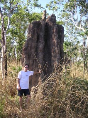 Cathedral termite mound