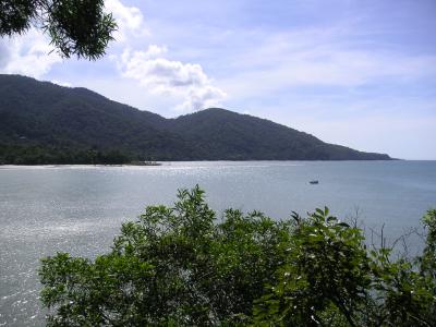 Cape Tribulation