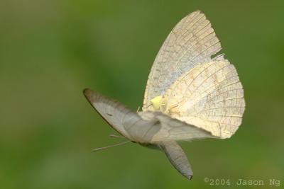 CRW_9859.jpg
