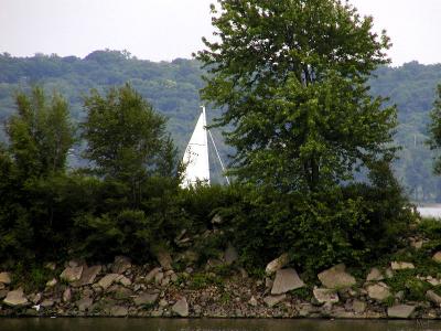 u45/ms_mimi69/medium/29122072.sailingaway.jpg