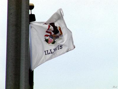 Illinois State Flag.jpg(298)