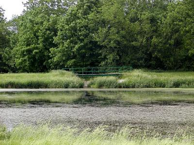 Farmington Park