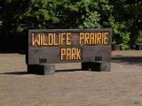 Wild Life Prairie Park.jpg(603)