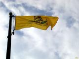 Dont tread on me.jpg(413)