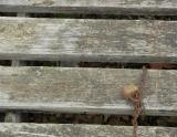 Pallet