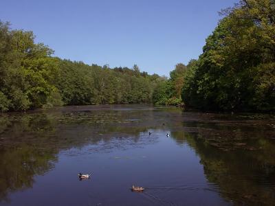 u45/mtf_foto_studies/medium/29035396.NaturesMirror.jpg