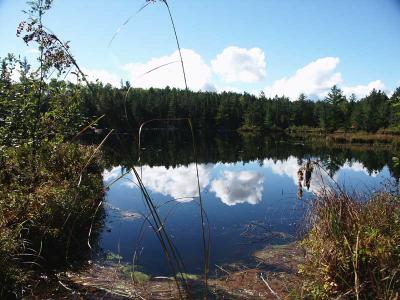 A place to reflect by Jim Rickards