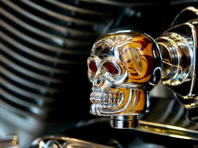 Harley Davidson Skull by Kristjan Ulfsson