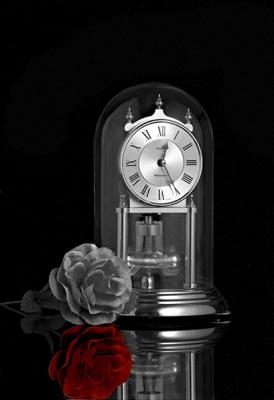 Red Rose Reflection by Elsa