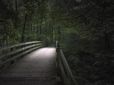 Lighting the Way by Gordon W