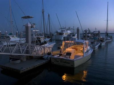 Early Departure by Bruce Jones