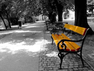 My Favorite Bench in the Park by Feri