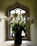 4th:: Tulips ::  by Tim Ashley