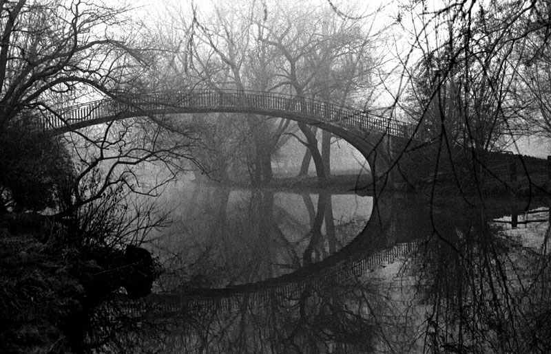 5th: Misty Bridge  by Tim Ashley