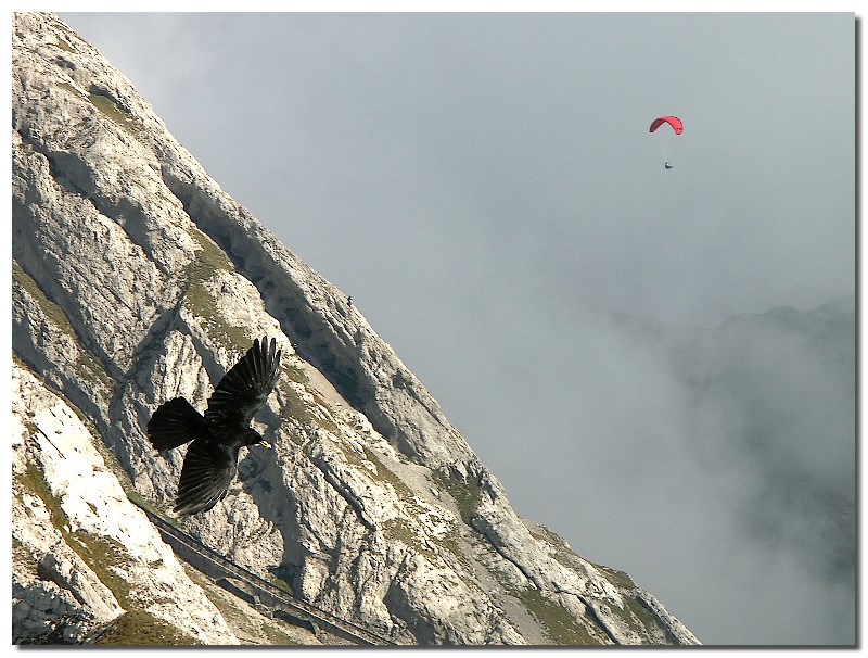 5th: Fly Up&Down by Fritz Kurt