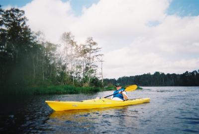 Kayaking Alligator River