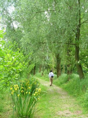 Sile River Park